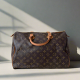 Louis Vuitton Speedy 35