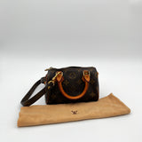 Louis Vuitton Mini HL / Nano Speedy