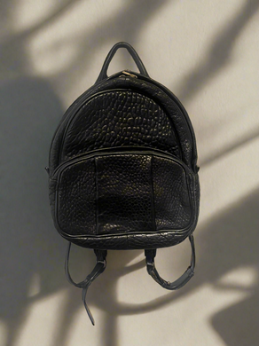 Alexander Wang Backpack